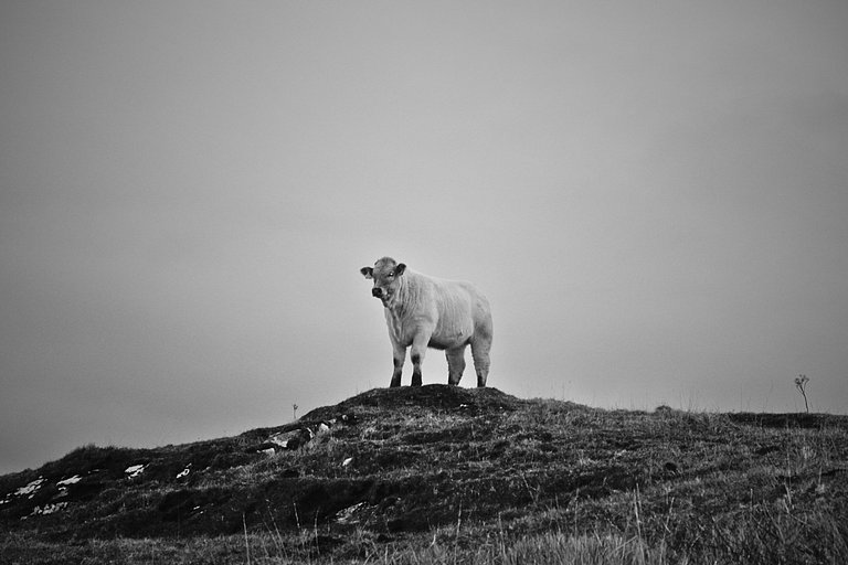 The Old Post Office Holiday Home, Dunmore