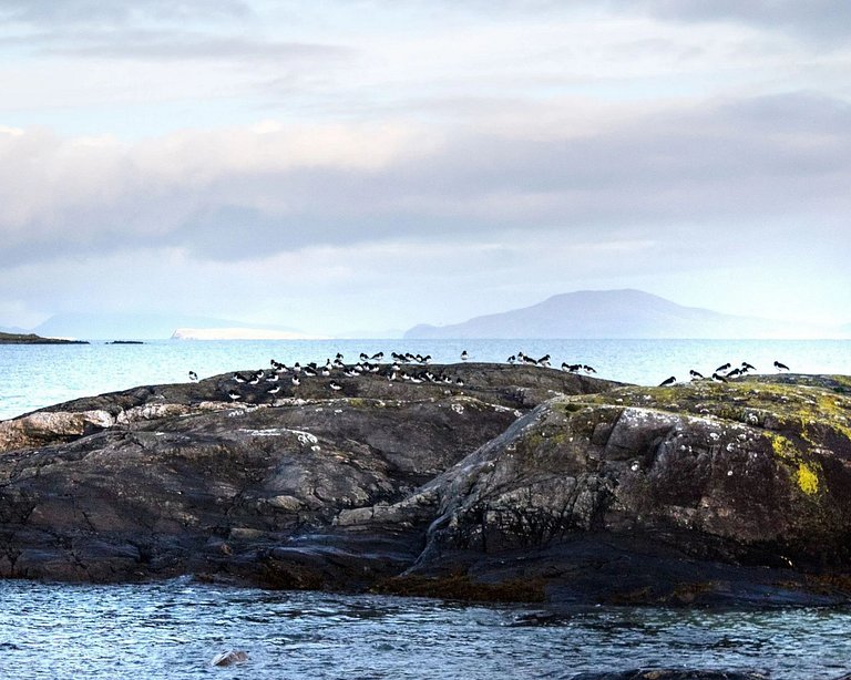 Islands View Lodge is a unique seaside retreat