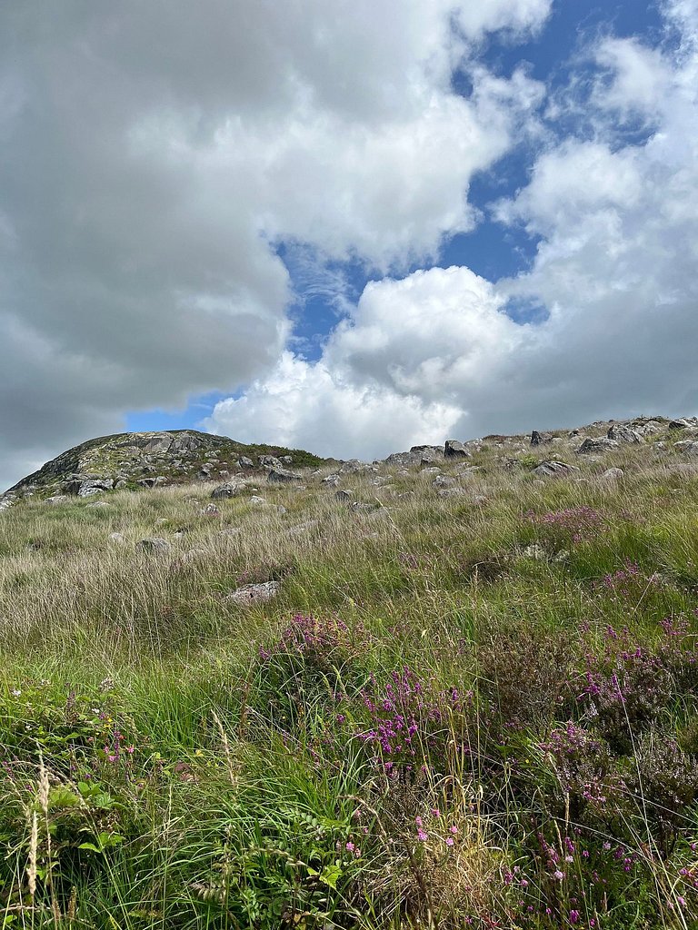 Ar Chúl Éaga, Foxford