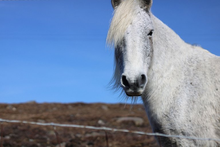 Sleeping 11 in Louisburgh