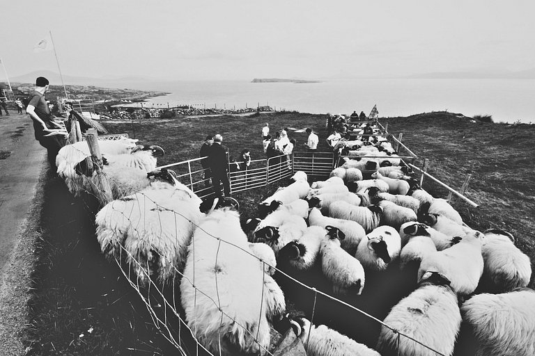 Sleeping 11 in Louisburgh