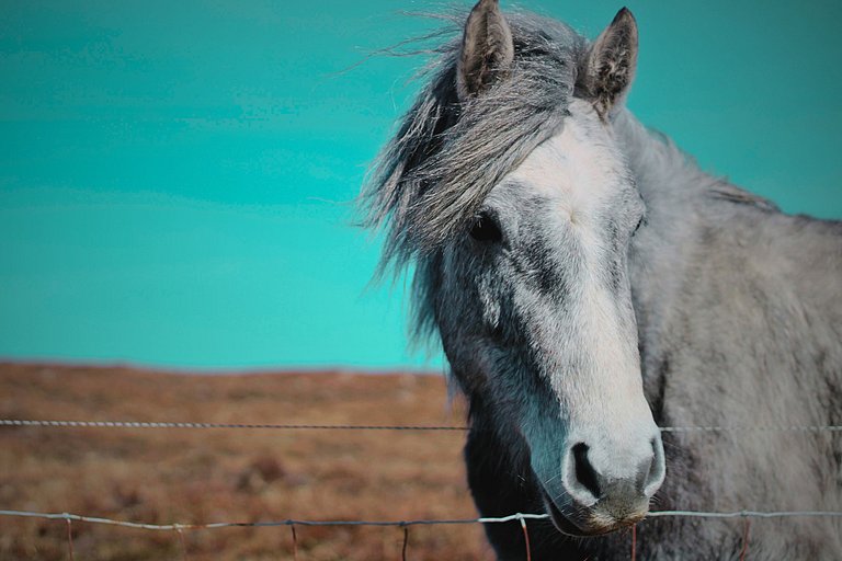 Apartment in Rosmuc, Connemara